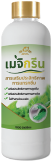 ผลิตภัณฑ์เมจิกรีน สารเสริมประสิทธิภาพการแทรกซึม ขนาด 1,000 มิลลิลิตร